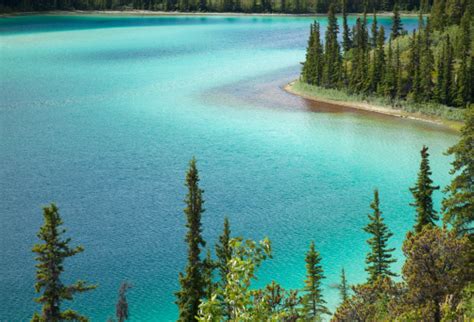 Emerald Lake Near Carcross Yukon Territory Canada Stock Photo