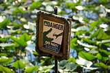11 Wild Facts about The Florida Everglades - Fact City