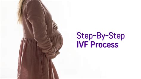 A Step By Step Guide On The Ivf Procedure