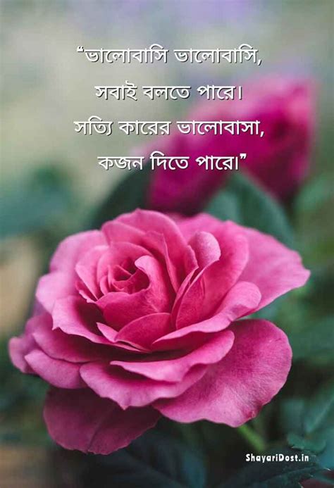 143 New Bengali Love Poem Romantic Love Poem In Bangla