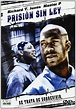 Prision Sin Ley [DVD]: Amazon.es: Richard T. Jones, Master P, De Aundre ...