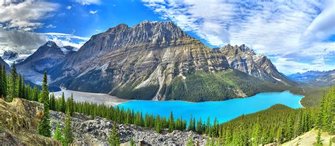 Fonds Decran Canada Montagnes Lac Forêts Photographie De Paysage Peyto