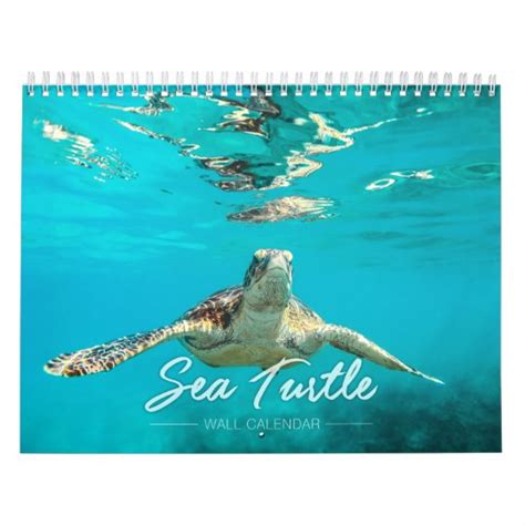 Sea Turtle 2019 Wall Calendar