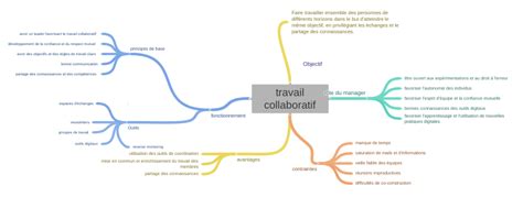 Travail Collaboratif Objectif Coggle Diagram