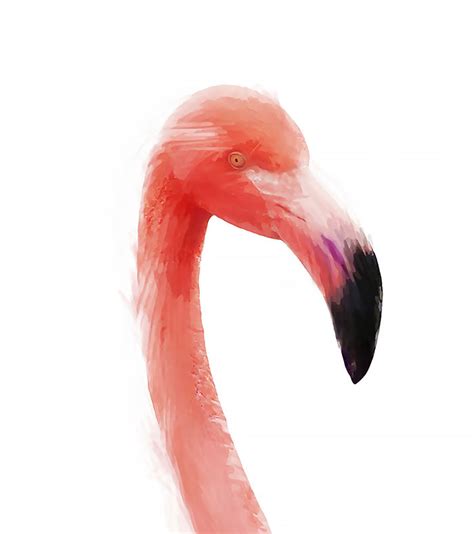 Flamingo Art Made With Psykopaint A Free Resource