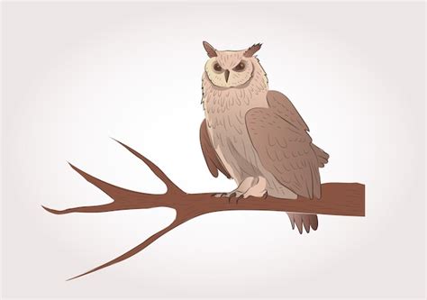 Premium Vector Owl Sitting On The Branch