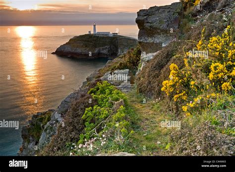 South Stack Lighthouse At Sunset Holy Island Anglesey North Wales