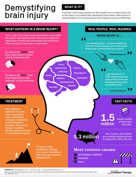 Demystifying Brain Injury Infographic Explains The Basics The Learning Corp