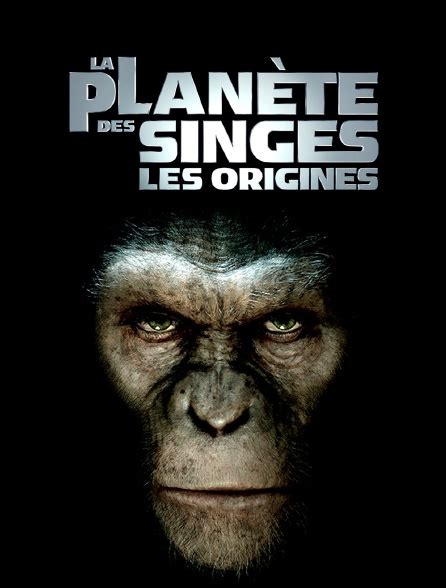 La Planète Des Singes Les Origines En Streaming - La planète des singes : les origines en Streaming - Molotov.tv