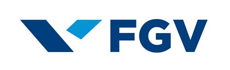 FGV Logo IBE
