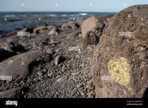 Natural Olivine In A Lava Formed Rock On The Beach Of Lanzarote Stock
