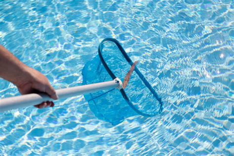 Comprehensive Guide For Swimming Pool Cleaning Service