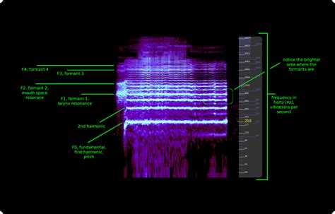 Spectrograms Voice Resource Project