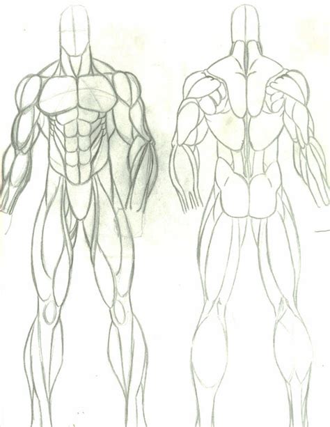anatomy study:male by faust40 on DeviantArt