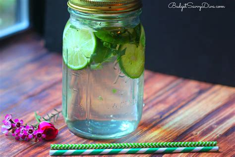 Fat Flush Detox Drink Recipe Budget Savvy Diva