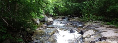 Throughout blue ridge, mccaysville and fannin county, there are parks and recreation areas for swimming, fishing, boating and picnicking. Fun Things To Do In Blue Ridge, GA | Georgia Mountain ...