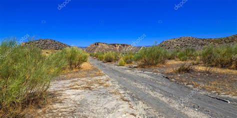 Reserva Natural Del Desierto De Tabernas Rea Especial De Protecci N Regi N Clim Tica Del