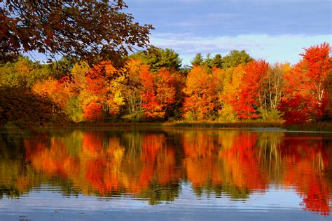 Autumn Trees Reflected In Lake 4k Ultra Hd Wallpaper Background Image