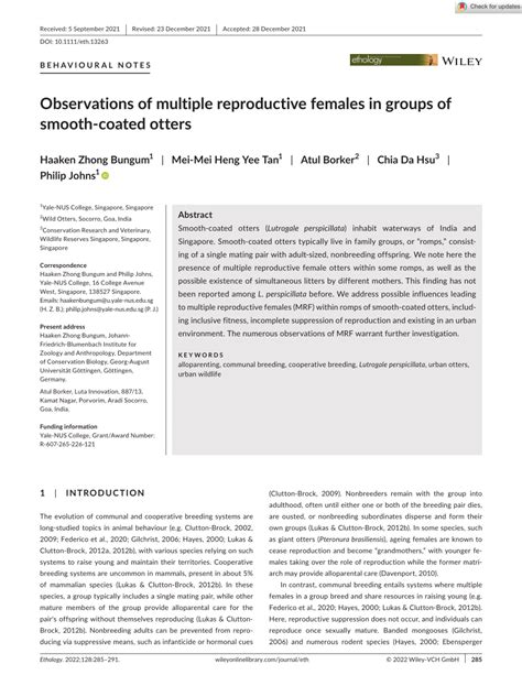 pdf observations of multiple reproductive females in groups of smooth‐coated otters