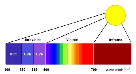 Electromagnetic Spectrum Skin Burns The Retina Radio Wave Data