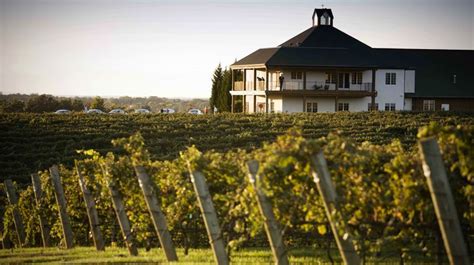 10 Gorgeous Wineries And Vineyards To Visit This Fall