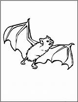Bat Coloring Printable Bats Bestcoloringpagesforkids Sheets Animals Animal sketch template