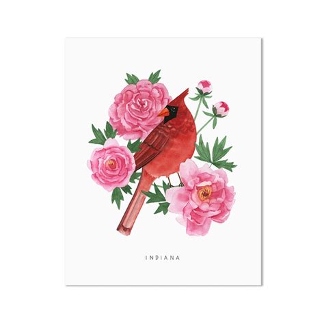 Indiana State Bird Art Print Indiana Cardinal And Peony Etsy