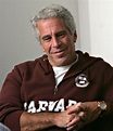 Jeffrey Epstein pitched a new narrative. These sites published it ...