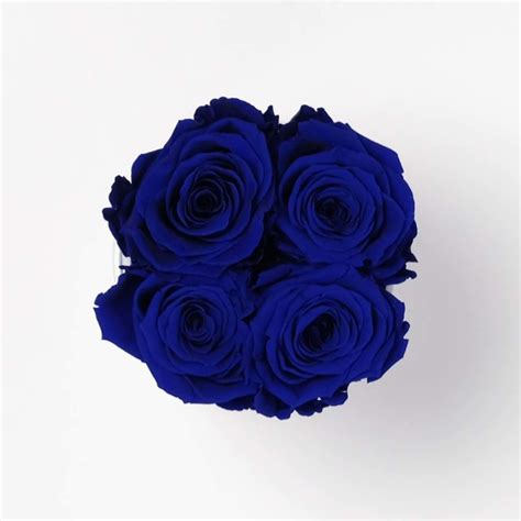 4 Preserved Royal Blue Roses In White Box Infinity Roses