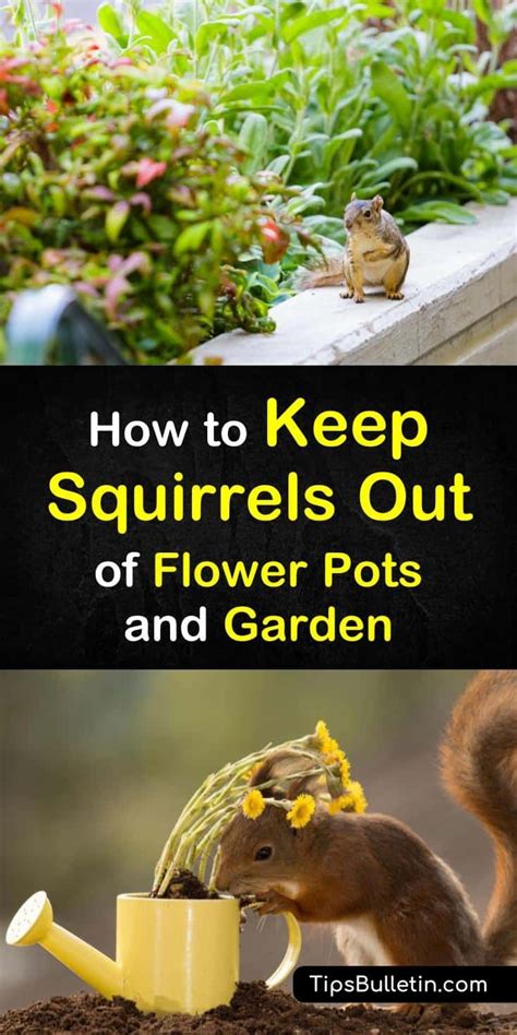 10 Smart Ways To Keep Squirrels Out Of Flower Pots And The Garden Get