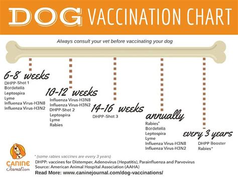 Some of these puppy shots are required, while others are highly recommended. Which Dog Vaccinations Are Necessary? - Pet Travel Questions