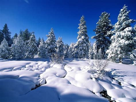 Snow Scene Wallpapers 2015 Grasscloth Wallpapers Desktop Background