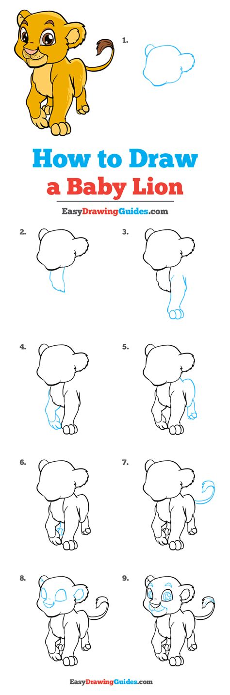 How Draw A Lion Step By Step At Drawing Tutorials