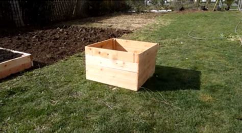 Growing and harvesting homegrown potatoes has never been easier with this wooden potato planter with a door. Prepper Time: How To Build A Potato Growing Box - Truth ...
