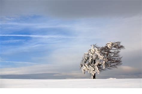 Weathering storms: Building financial resilience for retirement