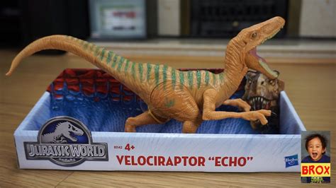Jurassic World Velociraptor Echo Figure Unboxing Youtube