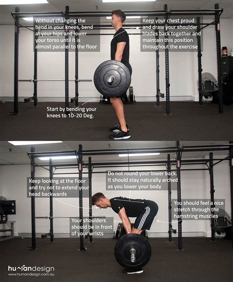 Infographic How To Perform A Barbell Romanian Dead Lift