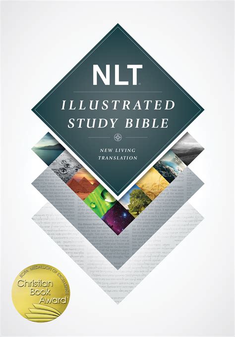 Nlt Illustrated Study Bible Free Delivery At Uk