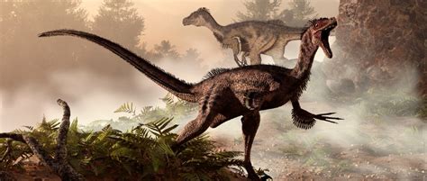 Velociraptor Best Size Claw Height And Dinosaur Fossil Facts Bbc