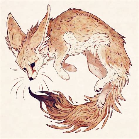 Fennec Fox Im Glad People Are Enjoying This New Style Also The Red