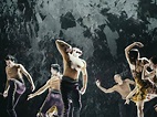 Il Reale Balletto delle Fiandre | Wall Street International Magazine