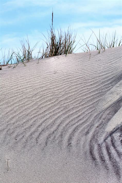 Lines In The Sand Photograph By Jc Findley Fine Art America
