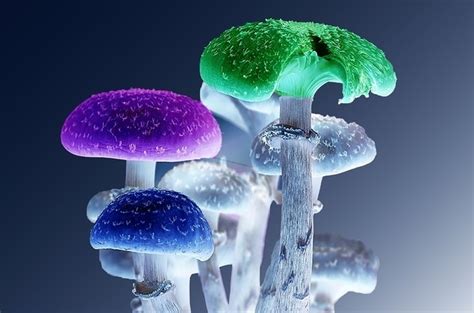 Magic mushrooms and LSD can help depression sufferers deal with ...
