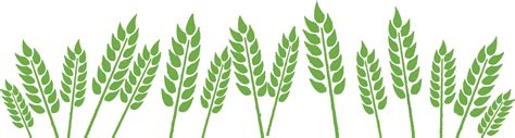 Download Wheat Field Wheat Field Clipart Black And White Png Image