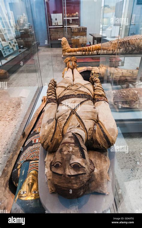 Egyptian Mummies British Museum London Hi Res Stock Photography And