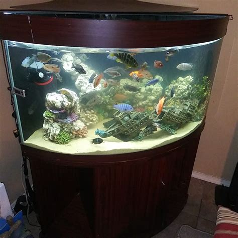 90 Gallon Corner Tank Complete Setup Bow Front For Sale In Spring Tx