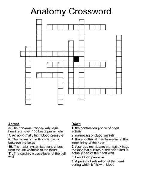 Anatomy Crossword Wordmint