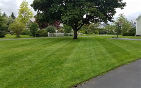 After all, the best clients don't want to hire a. What You Should Expect When Hiring a Professional Lawn ...