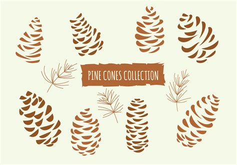 Hand Drawn Vector Illustrations Collection Of Pine Cones 145960 Vector