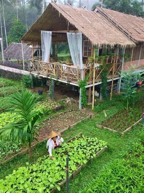 31 Cozy Bamboo Garden Decor For Private Place